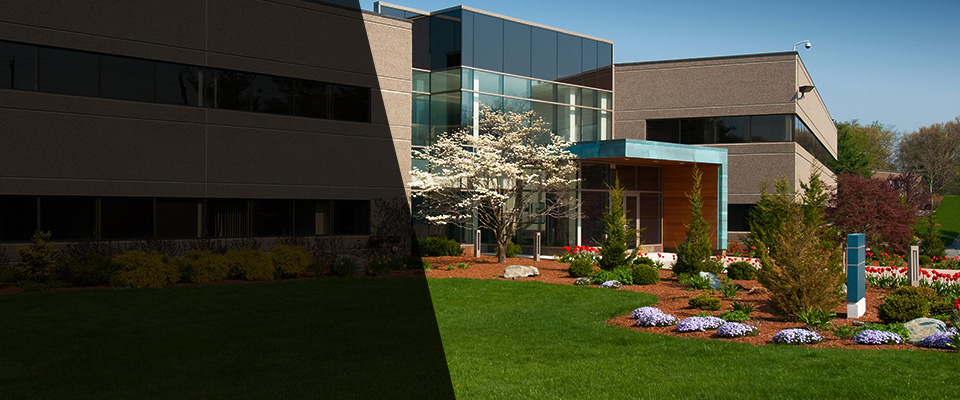 Rancho Santa Fe Landscapers