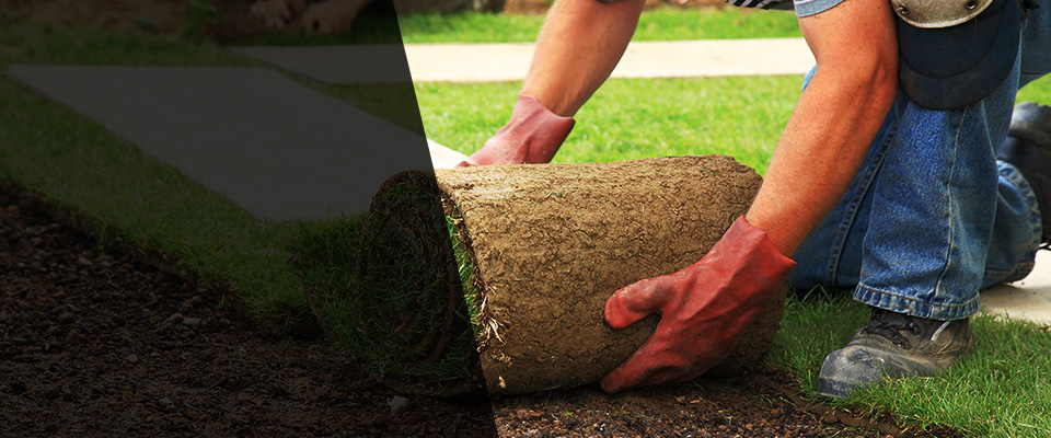 Rancho Santa Fe Landscapers